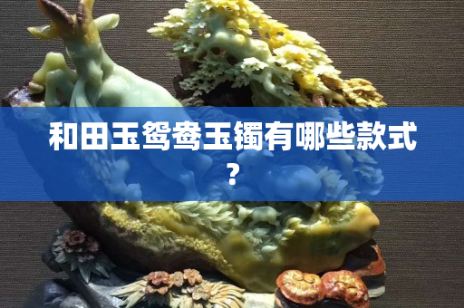 和田玉鸳鸯玉镯有哪些款式?