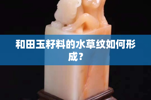 和田玉籽料的水草纹如何形成？