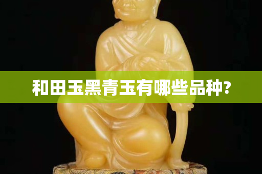 和田玉黑青玉有哪些品种?