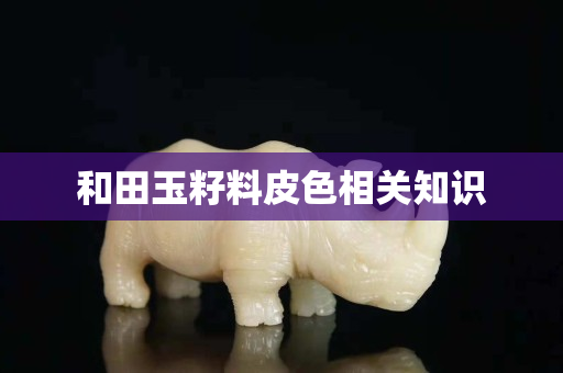 和田玉籽料皮色相关知识