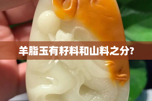 羊脂玉有籽料和山料之分?