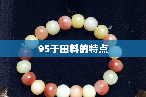 95于田料的特点