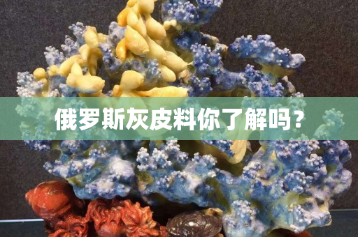 俄罗斯灰皮料你了解吗？