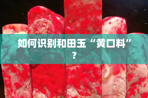 如何识别和田玉“黄口料”?