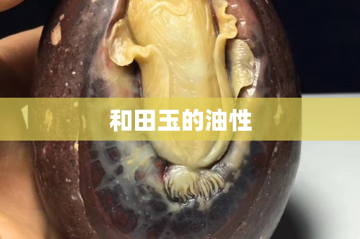 和田玉的油性