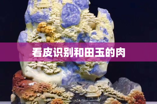看皮识别和田玉的肉