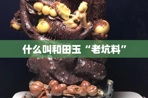 什么叫和田玉“老坑料”