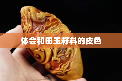 体会和田玉籽料的皮色
