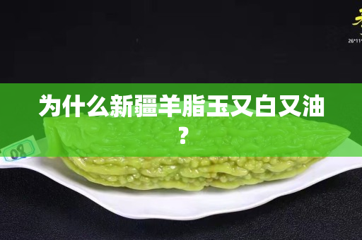为什么新疆羊脂玉又白又油？