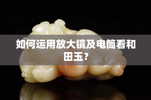 如何运用放大镜及电筒看和田玉？