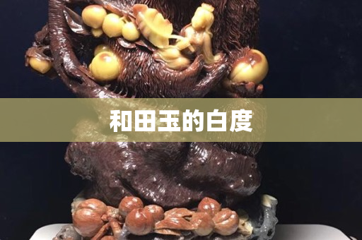和田玉的白度