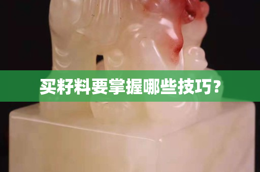 买籽料要掌握哪些技巧？