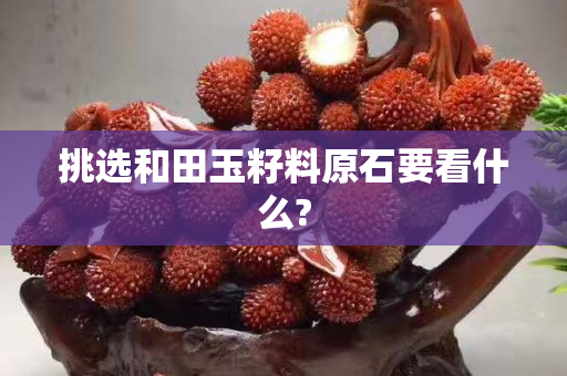 挑选和田玉籽料原石要看什么?
