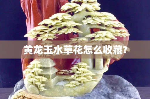 黄龙玉水草花怎么收藏?