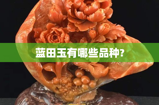 蓝田玉有哪些品种?