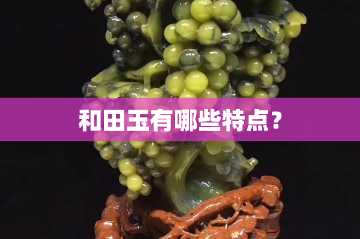 和田玉有哪些特点？
