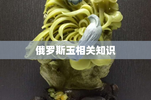 俄罗斯玉相关知识
