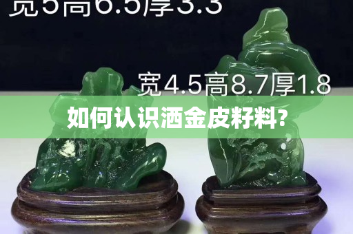 如何认识洒金皮籽料?
