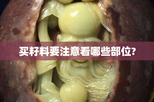 买籽料要注意看哪些部位?
