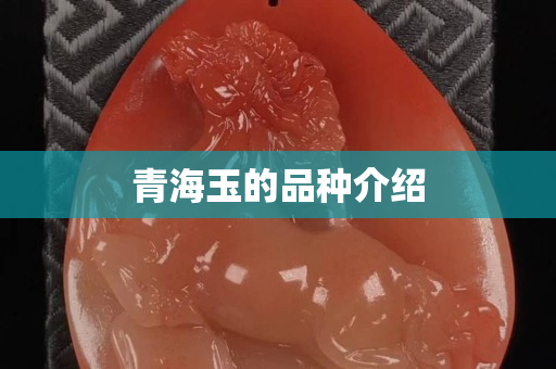 青海玉的品种介绍