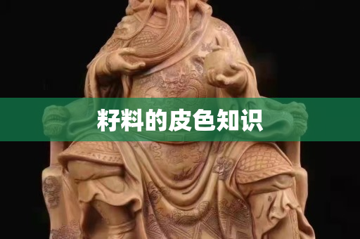 籽料的皮色知识