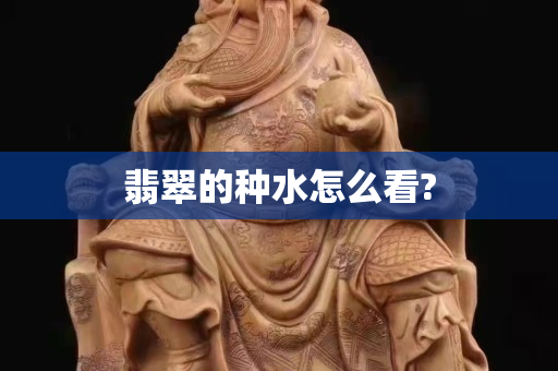 翡翠的种水怎么看?