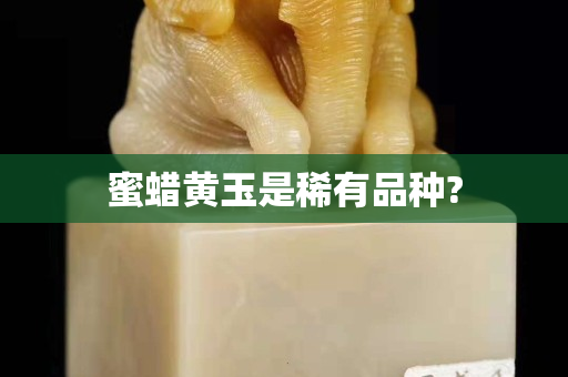 蜜蜡黄玉是稀有品种?