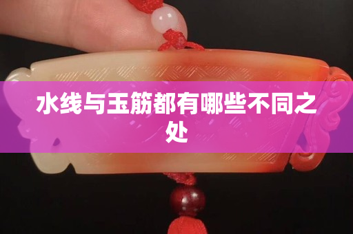 水线与玉筋都有哪些不同之处