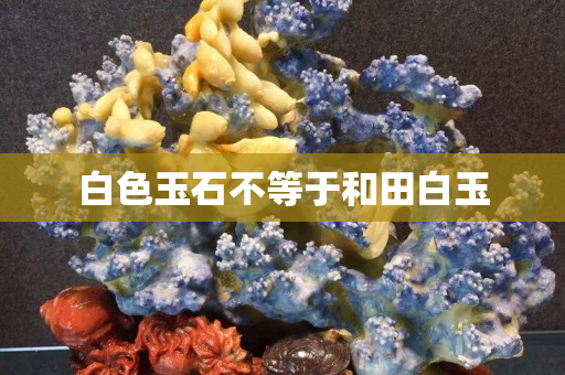 白色玉石不等于和田白玉