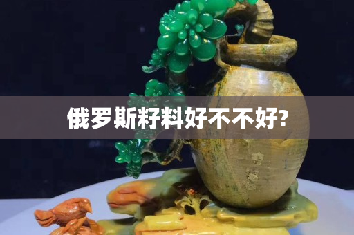 俄罗斯籽料好不不好?