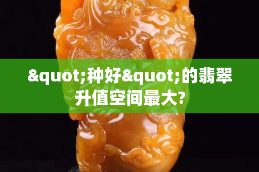 "种好"的翡翠升值空间最大?
