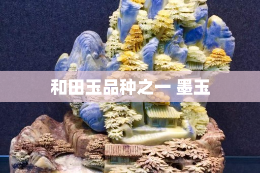 和田玉品种之一 墨玉