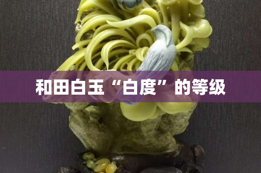 和田白玉“白度”的等级
