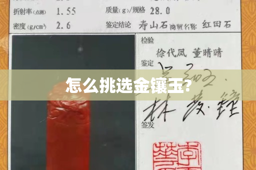 怎么挑选金镶玉?