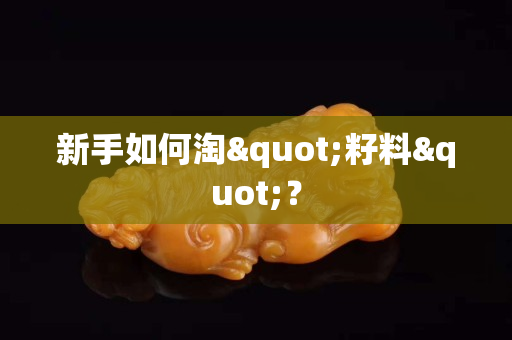 新手如何淘"籽料"？