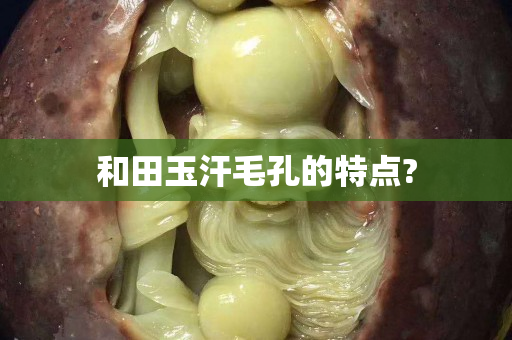 和田玉汗毛孔的特点?