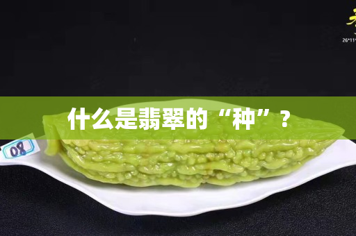 什么是翡翠的“种”?