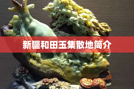 新疆和田玉集散地简介