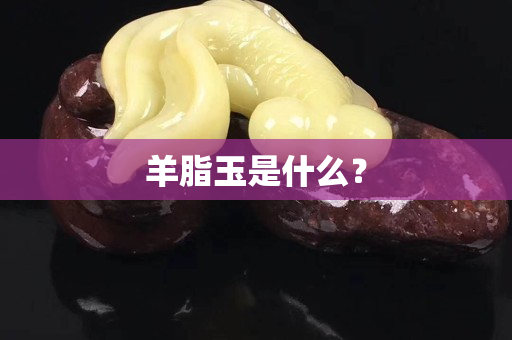 羊脂玉是什么？