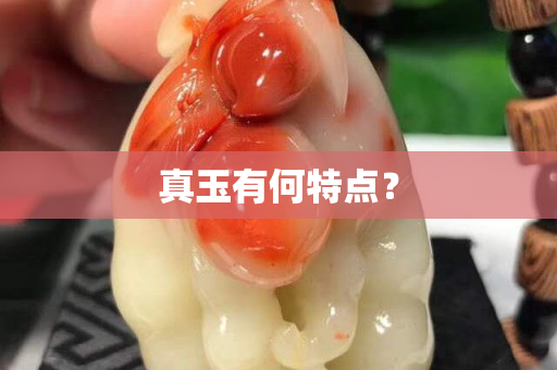 真玉有何特点？