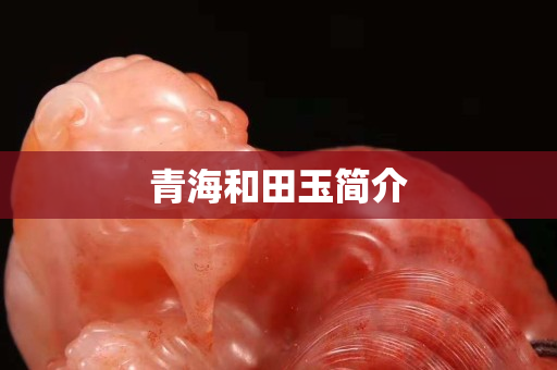 青海和田玉简介