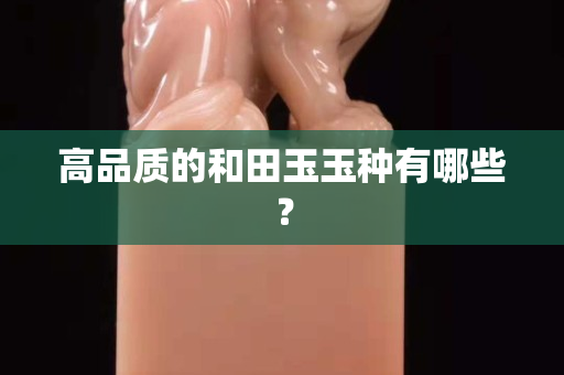 高品质的和田玉玉种有哪些？