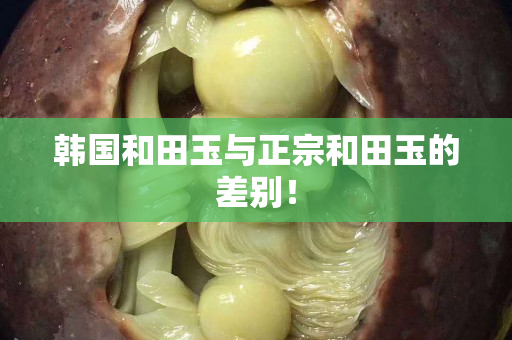 韩国和田玉与正宗和田玉的差别！