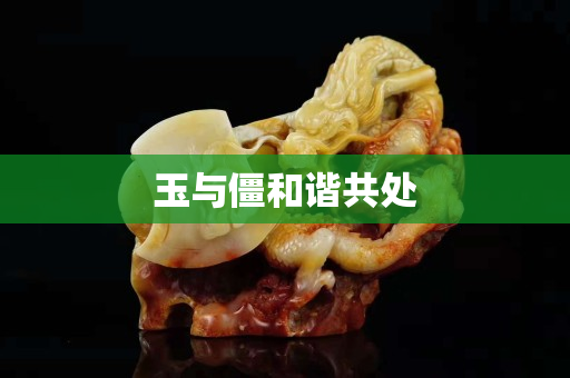 玉与僵和谐共处