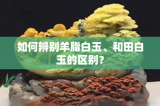 如何辨别羊脂白玉、和田白玉的区别？