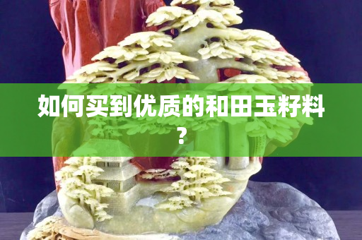如何买到优质的和田玉籽料?