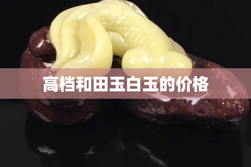 高档和田玉白玉的价格