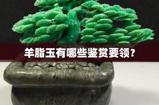 羊脂玉有哪些鉴赏要领？