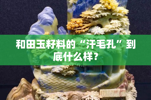 和田玉籽料的“汗毛孔”到底什么样？