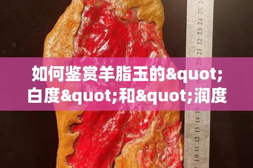 如何鉴赏羊脂玉的"白度"和"润度"？